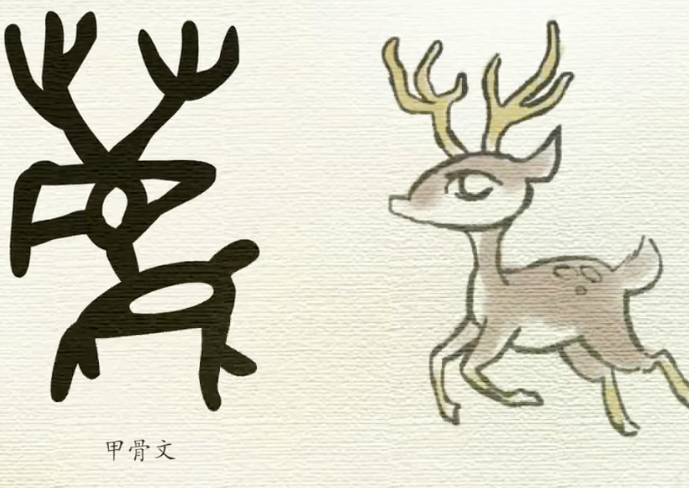 《鹿部 好漂亮的梅花鹿》-水墨汉字动画